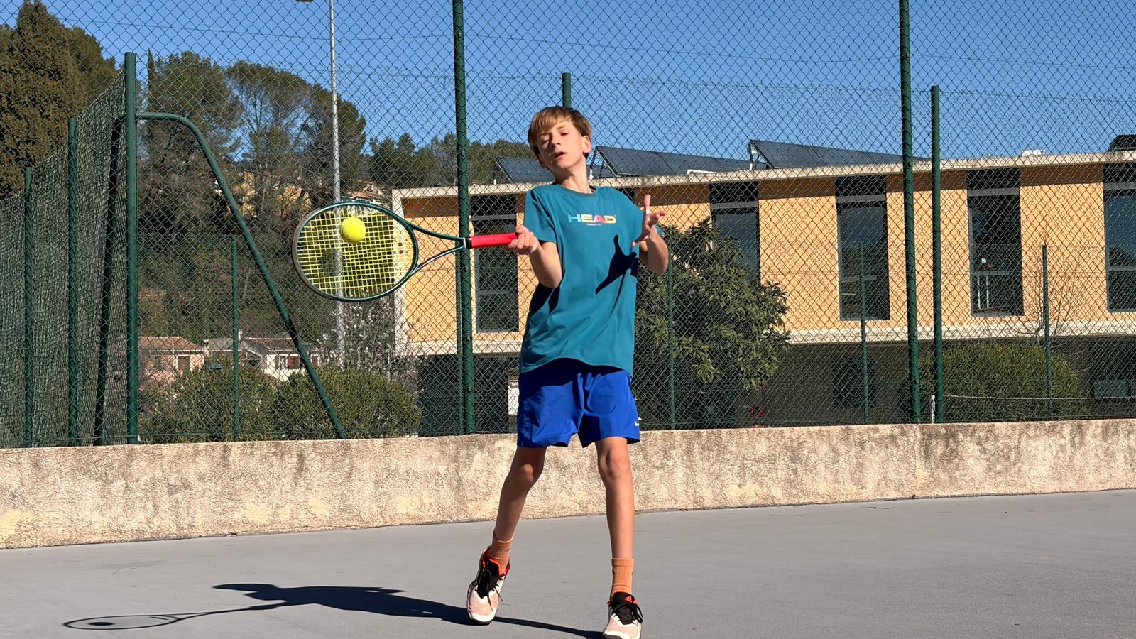 Oscar on tennis court